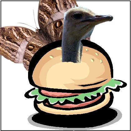 ostrich burger - yummy yum yum......